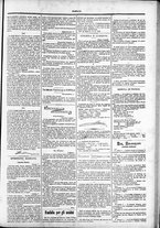 giornale/TO00184052/1882/Agosto/36