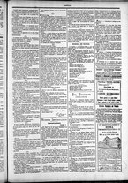 giornale/TO00184052/1882/Dicembre/80