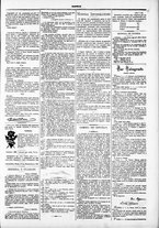 giornale/TO00184052/1882/Febbraio/19