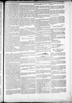 giornale/TO00184052/1882/Giugno/31