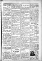 giornale/TO00184052/1882/Maggio/35