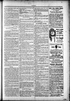 giornale/TO00184052/1883/Novembre/91