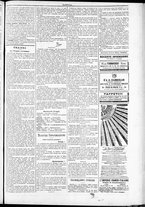 giornale/TO00184052/1885/Novembre/31