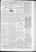 giornale/TO00184052/1885/Novembre/89