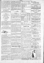giornale/TO00184052/1886/Settembre/3