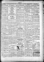 giornale/TO00184052/1895/Novembre/19