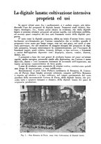 giornale/TO00184078/1941/unico/00000661