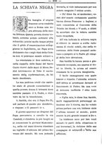 giornale/TO00184216/1894/unico/00000206