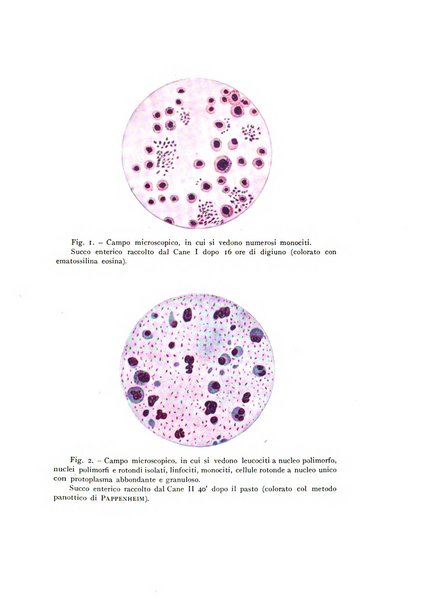 Fisiologia e medicina rassegna mensile