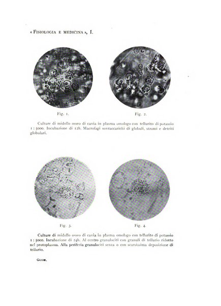 Fisiologia e medicina rassegna mensile