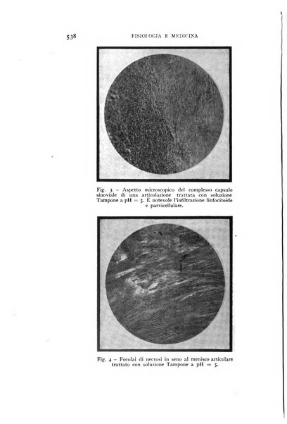 Fisiologia e medicina rassegna mensile