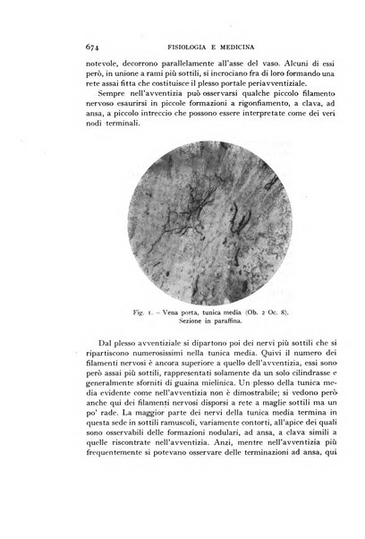 Fisiologia e medicina rassegna mensile