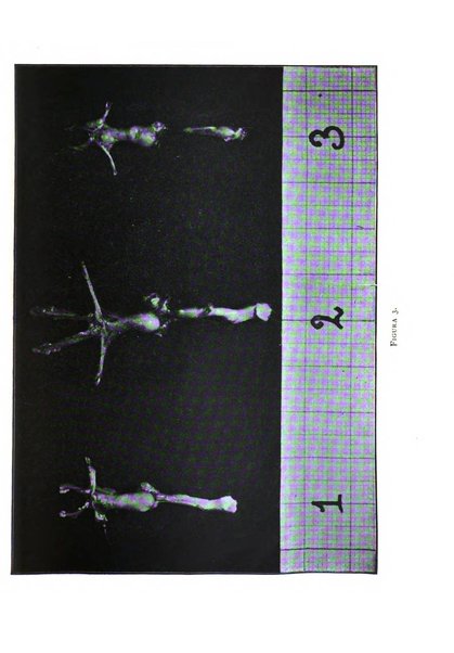 Fisiologia e medicina rassegna mensile