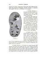 giornale/TO00184346/1935/unico/00000440