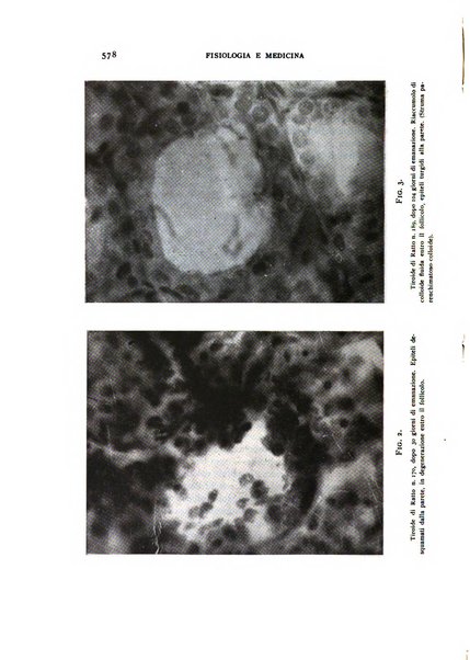 Fisiologia e medicina rassegna mensile