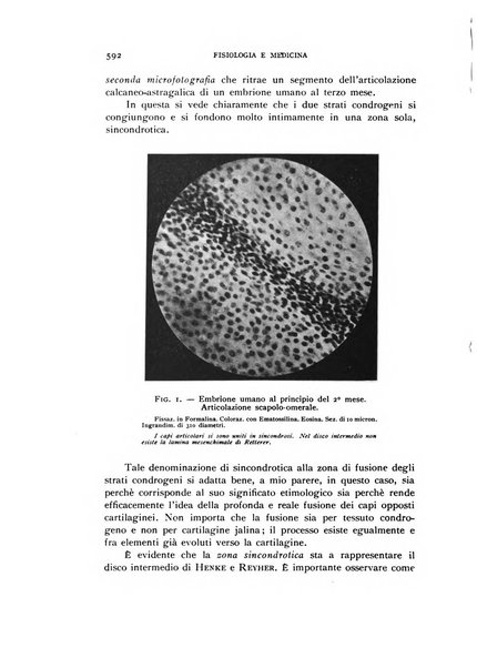 Fisiologia e medicina rassegna mensile