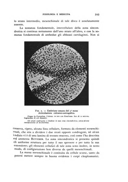 Fisiologia e medicina rassegna mensile