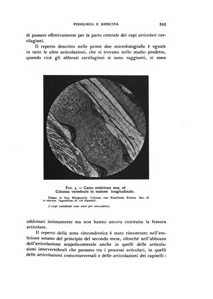 Fisiologia e medicina rassegna mensile