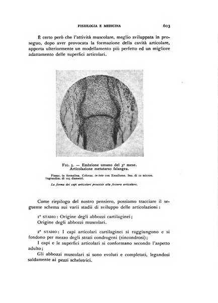 Fisiologia e medicina rassegna mensile