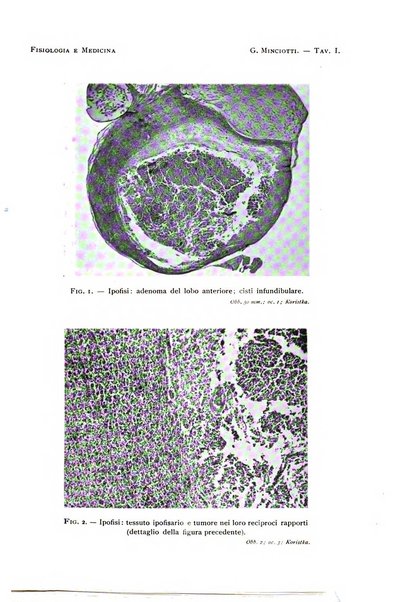 Fisiologia e medicina rassegna mensile