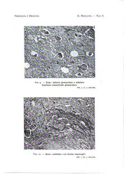 Fisiologia e medicina rassegna mensile