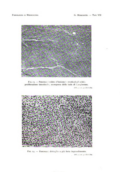 Fisiologia e medicina rassegna mensile