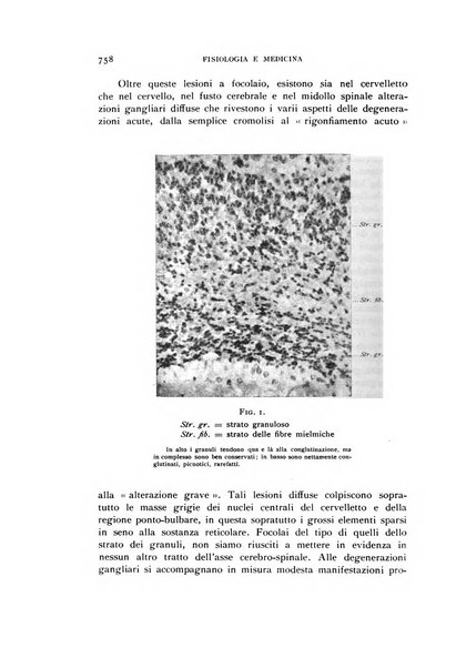 Fisiologia e medicina rassegna mensile