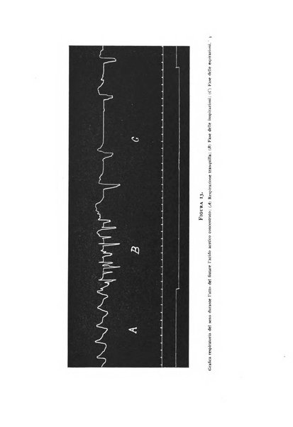 Fisiologia e medicina rassegna mensile