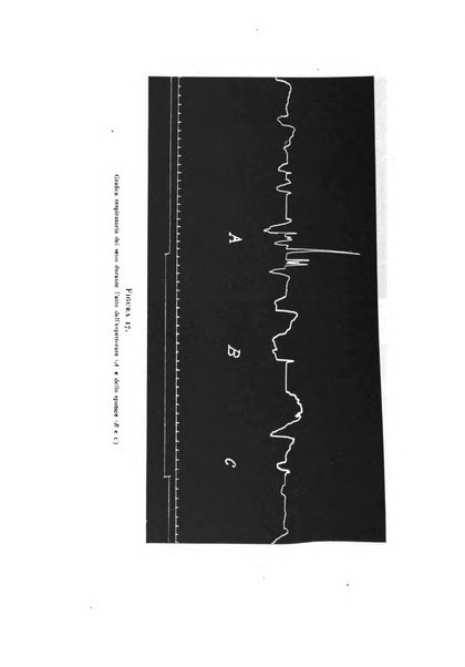 Fisiologia e medicina rassegna mensile