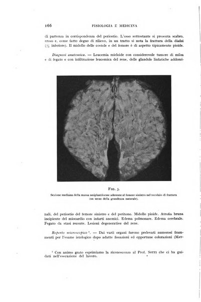 Fisiologia e medicina rassegna mensile