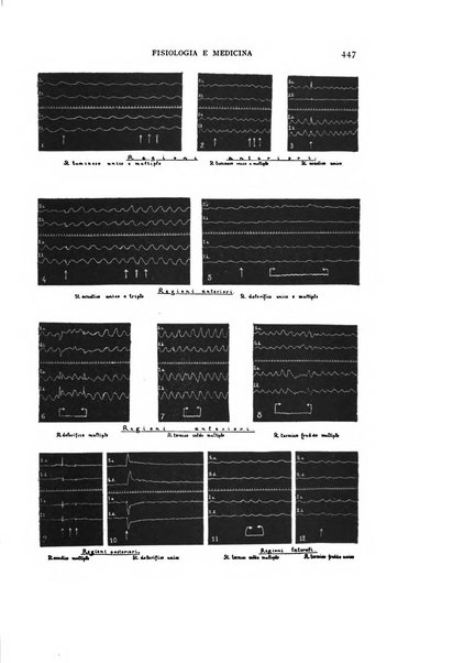 Fisiologia e medicina rassegna mensile