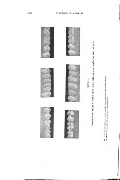 Fisiologia e medicina rassegna mensile