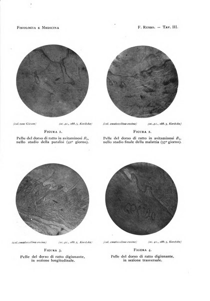 Fisiologia e medicina rassegna mensile