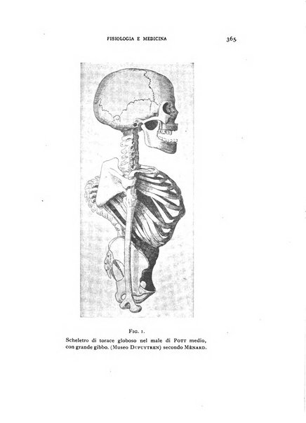 Fisiologia e medicina rassegna mensile