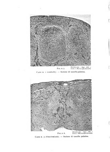 Fisiologia e medicina rassegna mensile