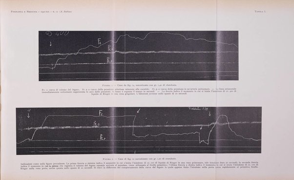 Fisiologia e medicina rassegna mensile