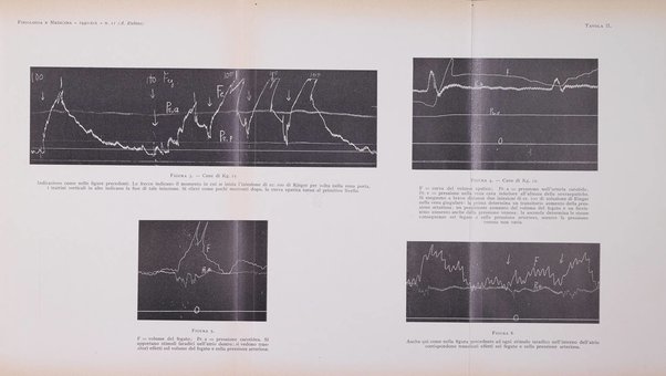 Fisiologia e medicina rassegna mensile