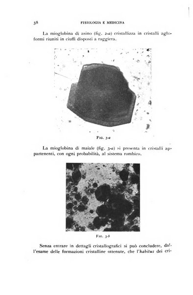 Fisiologia e medicina rassegna mensile