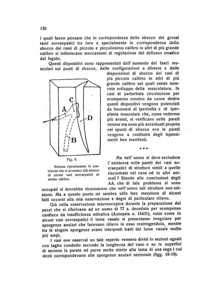 Folia cardiologica