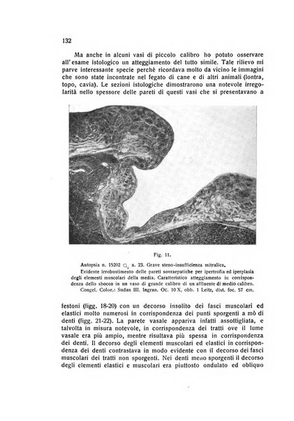 Folia cardiologica