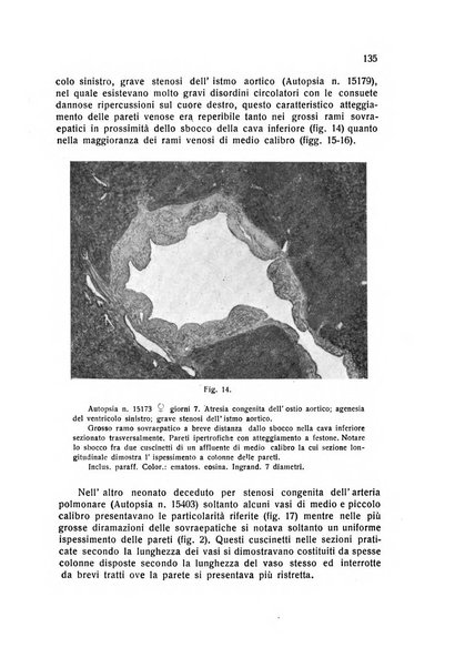 Folia cardiologica