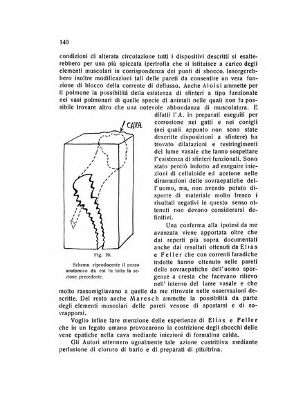 Folia cardiologica