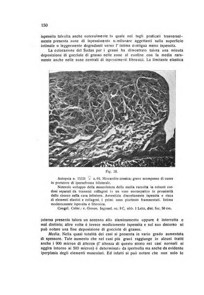 Folia cardiologica