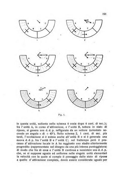 Folia cardiologica