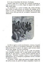 giornale/TO00184413/1903/unico/00000054