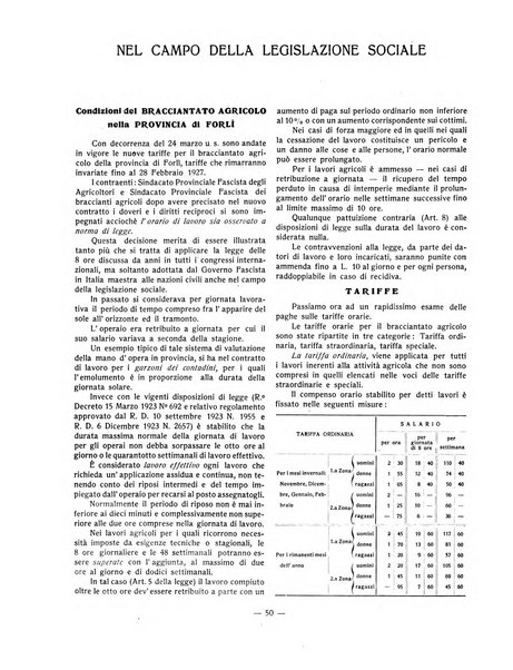 Forum Livii rivista d'attivita municipale della citta di Forlì