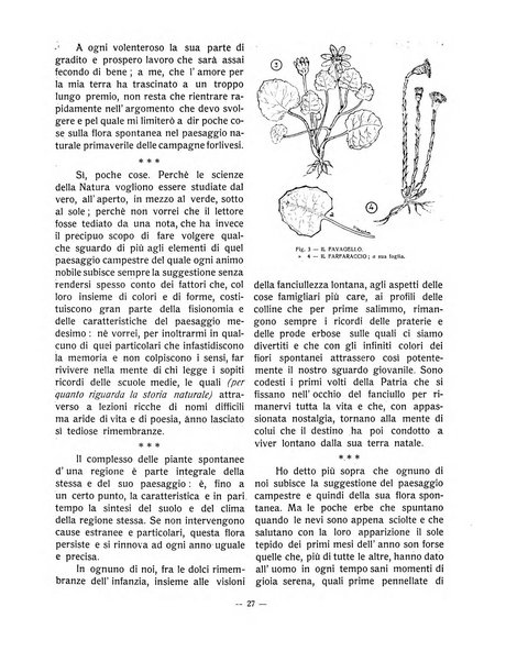 Forum Livii rivista d'attivita municipale della citta di Forlì