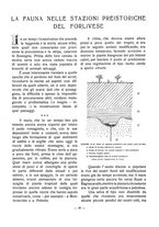 giornale/TO00184509/1926/unico/00000259