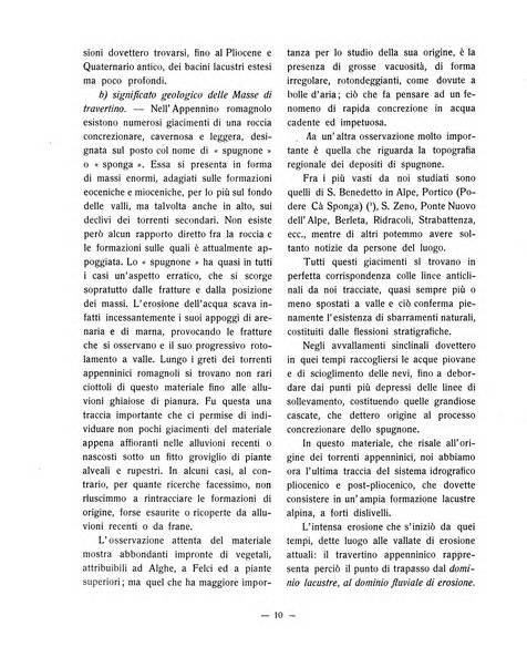 Forum Livii rivista d'attivita municipale della citta di Forlì