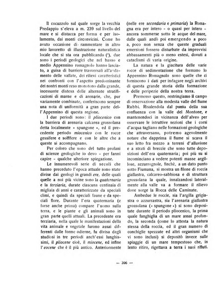 Forum Livii rivista d'attivita municipale della citta di Forlì